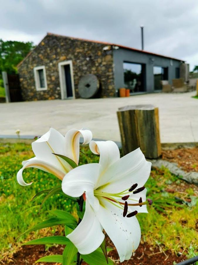 Sao Pedro  Quinta De Sao Jose 빌라 외부 사진